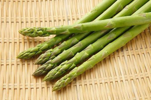 ��Ӫ��������ʳ������Щ