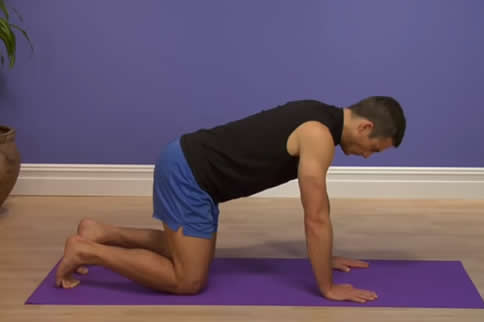 ��������ȼ��֬���ݶ��� 3���������������