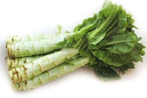 ʲô�߲�ȼ��֬�� ��6��ʳ����㲻��׸��