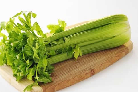 ���������ĵ�����ʳ������Щ