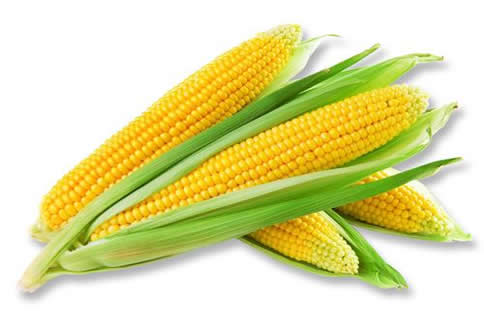 ����ά������ʳ������Щ