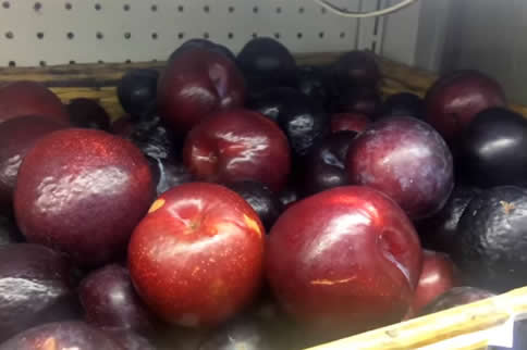 ��ѧУ������ʳ�ƻ� ѧ������ô����ô��