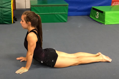 ȼ��֬����ȫ���Ķ�������Щ