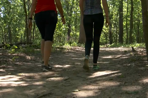 ������Ӱ���Թ����� ����Թ��ܵ��˶�