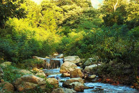 ������ɽ�ĺô��ͻ�����ʲô