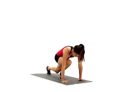 ���ٰ���������ȼ֬�˶�