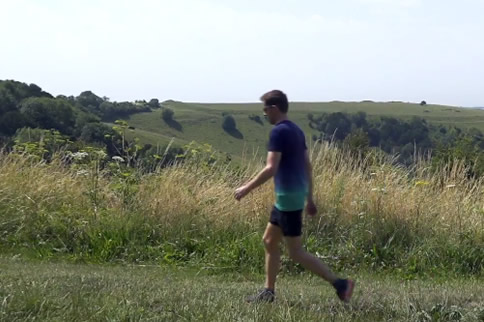 ���ٰ���������ȼ֬�˶�